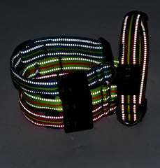 LED Rechargeable Waterproof Pet Collar