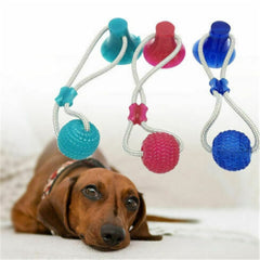 Suction Cup Dog Chew Toy