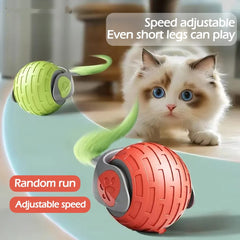 Smart Auto-Rolling Cat Ball Toy