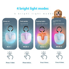 Double-sided U-shaped Strawberry Pet LED Dog Walking Light