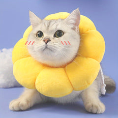 Sunflower Pet Recovery Collar - Soft Cone