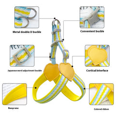 Dog Hand Holding Rope Vest Walking Chest Strap