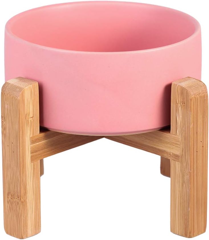 Elevated Ceramic Cat Bowl - Cat Food Bowl with Bamboo Stand - Raised Dog Dish for Puppies - Anti Vomiting, Stress Free - 13.5 oz / 400 ml - White