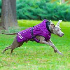 Fashionable And Simple Waterproof And Reflective Nylon Pet Clothes