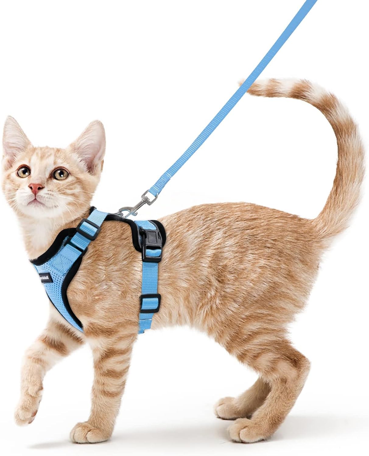 rabbitgoo Cat Harness and Leash for Walking, Escape Proof Soft Adjustable Vest Harnesses for Cats, Easy Control Breathable Reflective Strips Jacket, Black, S