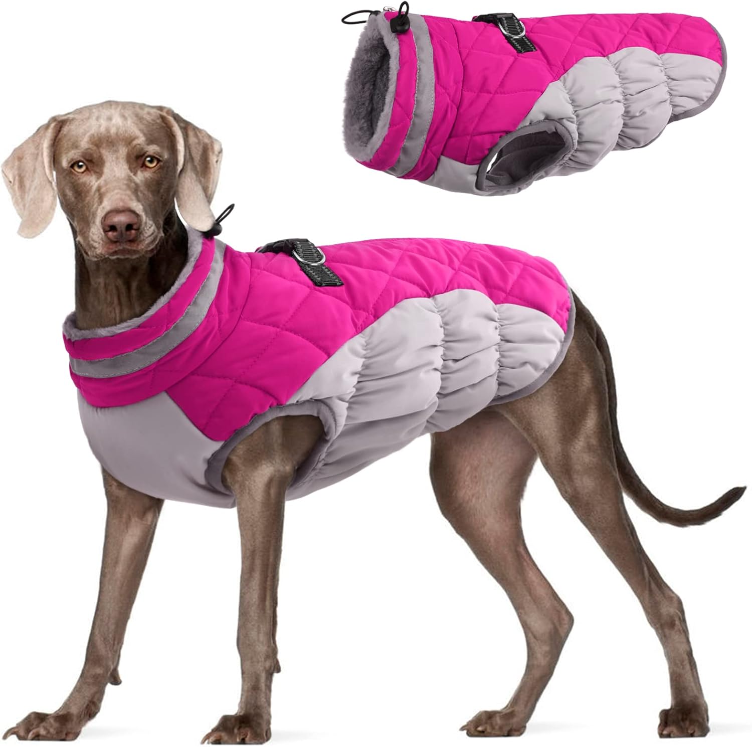 FUAMEY Dog Coat for Small Dogs,Waterproof Dog Winter Jacket with Harness Built in Puppy Cold Weather Coats Reflective Pet Vest with Zipper Warm Fleece Dogs Snowsuit Windproof Purple XS