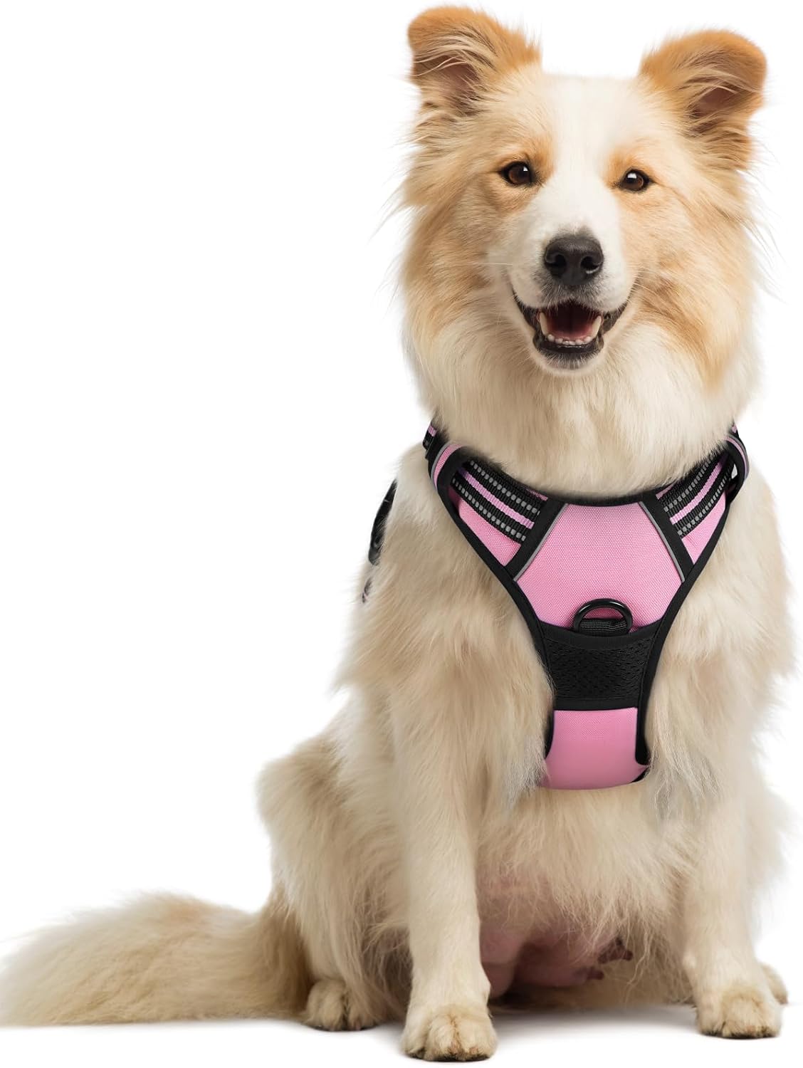 rabbitgoo Dog Harness No Pull with 2 Leash Clips, Adjustable Soft Padded, Reflective Oxford No Choke Pet Vest with Easy Control Handle for Large Dogs, Black, L