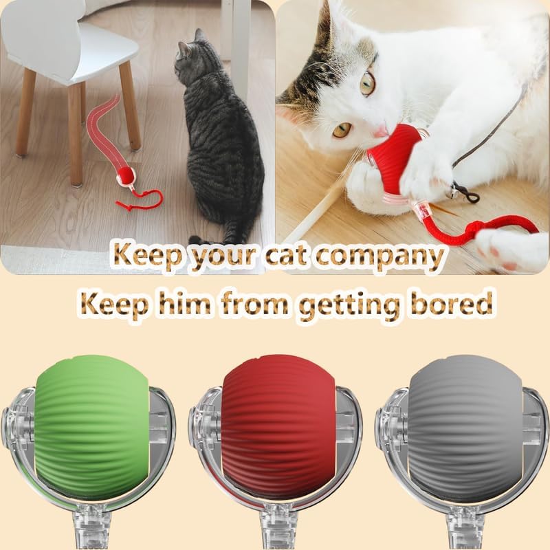 2025 New Interactive Cat Toys Balls,Automatic Moving Cat Balls, Cat Toys for Bored Indoor Cats（Red）