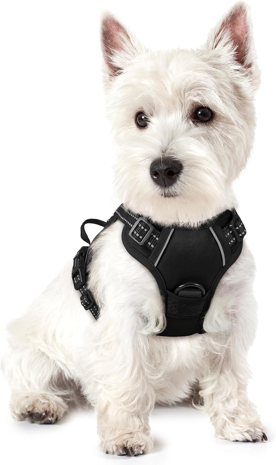 rabbitgoo Dog Harness No Pull with 2 Leash Clips, Adjustable Soft Padded, Reflective Oxford No Choke Pet Vest with Easy Control Handle for Large Dogs, Black, L