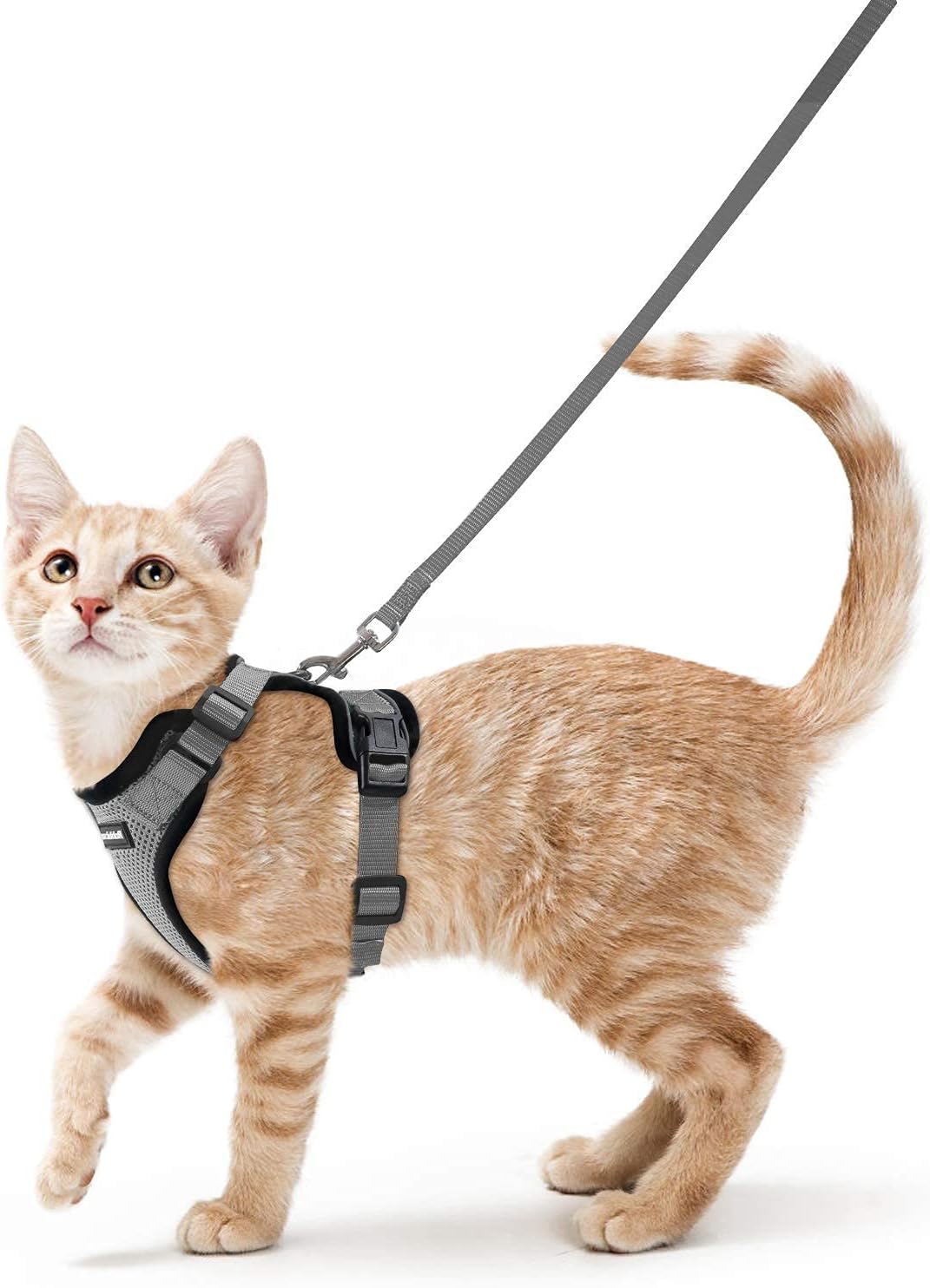 rabbitgoo Cat Harness and Leash for Walking, Escape Proof Soft Adjustable Vest Harnesses for Cats, Easy Control Breathable Reflective Strips Jacket, Black, S