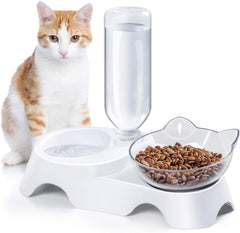 Tilted Feeder for Healthy Pets