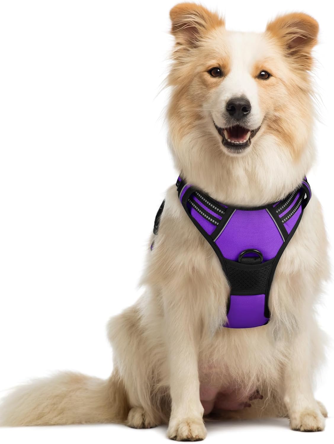rabbitgoo Dog Harness No Pull with 2 Leash Clips, Adjustable Soft Padded, Reflective Oxford No Choke Pet Vest with Easy Control Handle for Large Dogs, Black, L