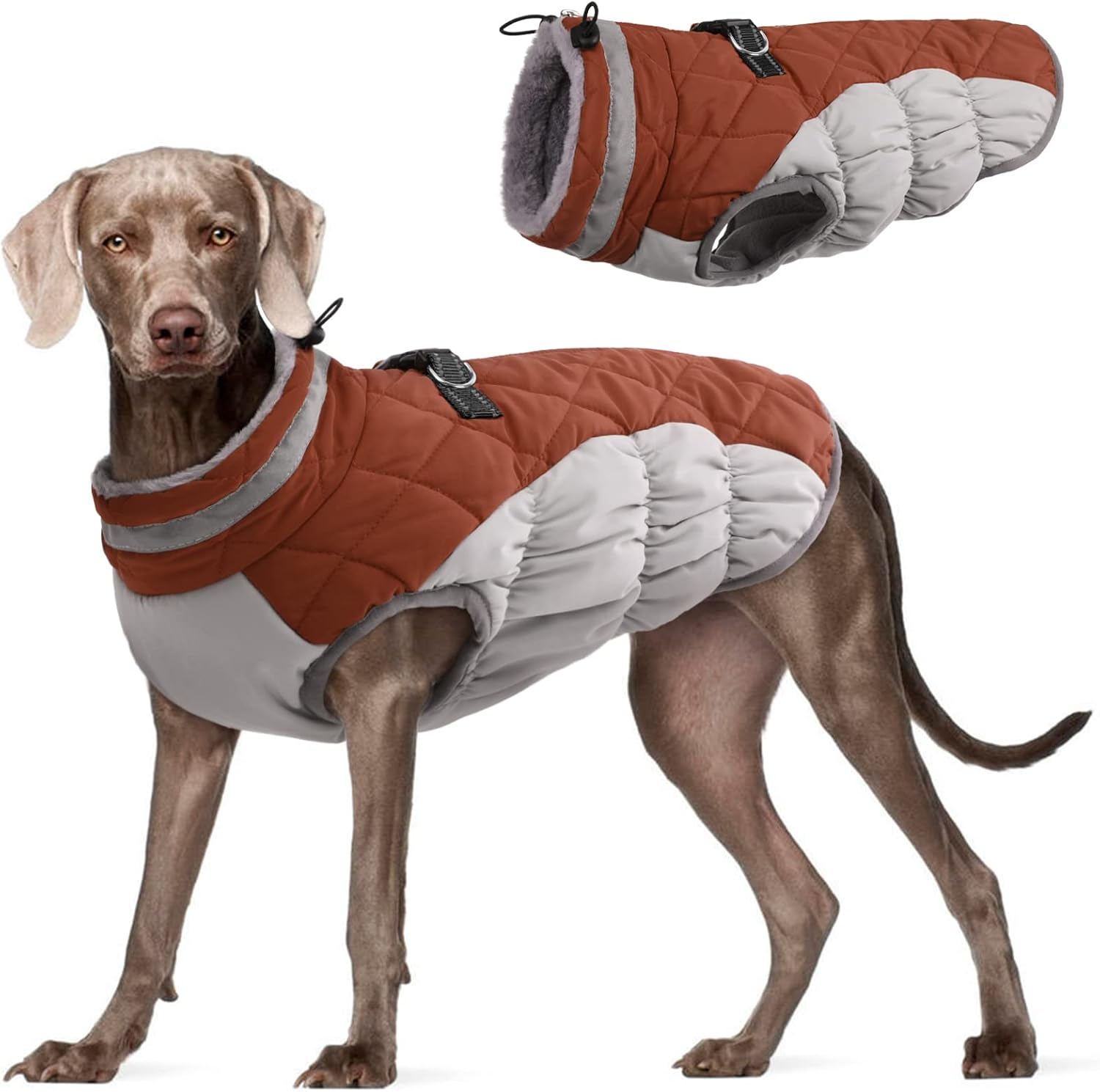 FUAMEY Dog Coat for Small Dogs,Waterproof Dog Winter Jacket with Harness Built in Puppy Cold Weather Coats Reflective Pet Vest with Zipper Warm Fleece Dogs Snowsuit Windproof Purple XS