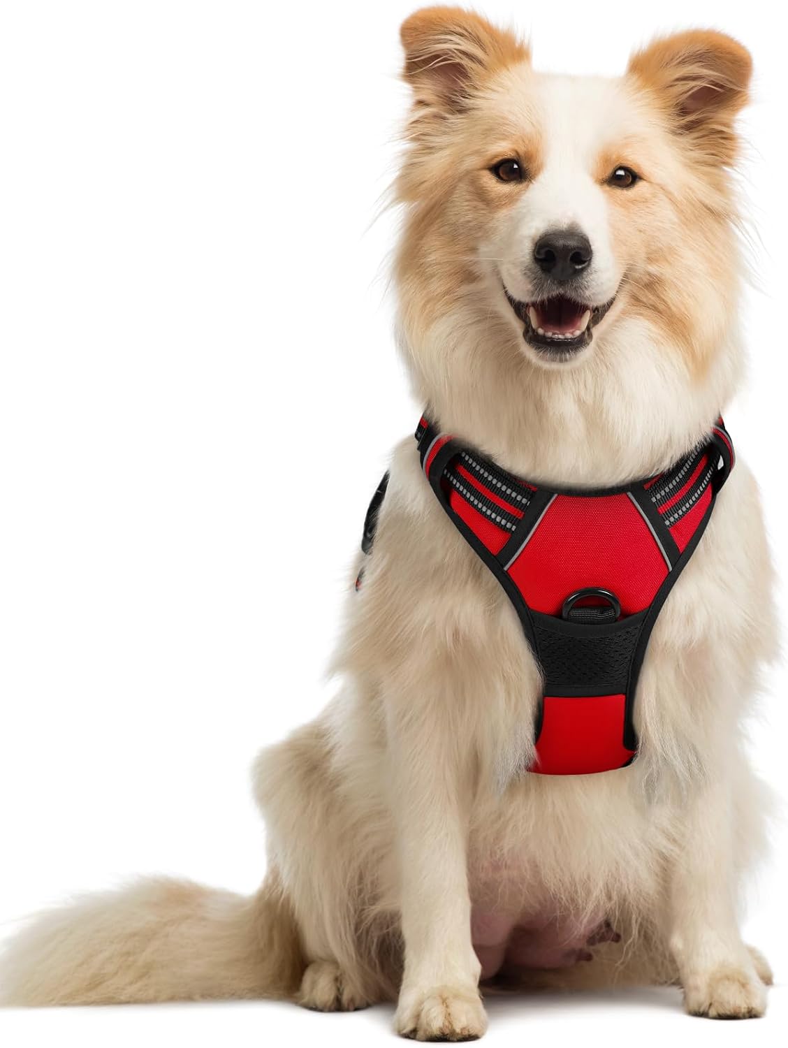 rabbitgoo Dog Harness No Pull with 2 Leash Clips, Adjustable Soft Padded, Reflective Oxford No Choke Pet Vest with Easy Control Handle for Large Dogs, Black, L