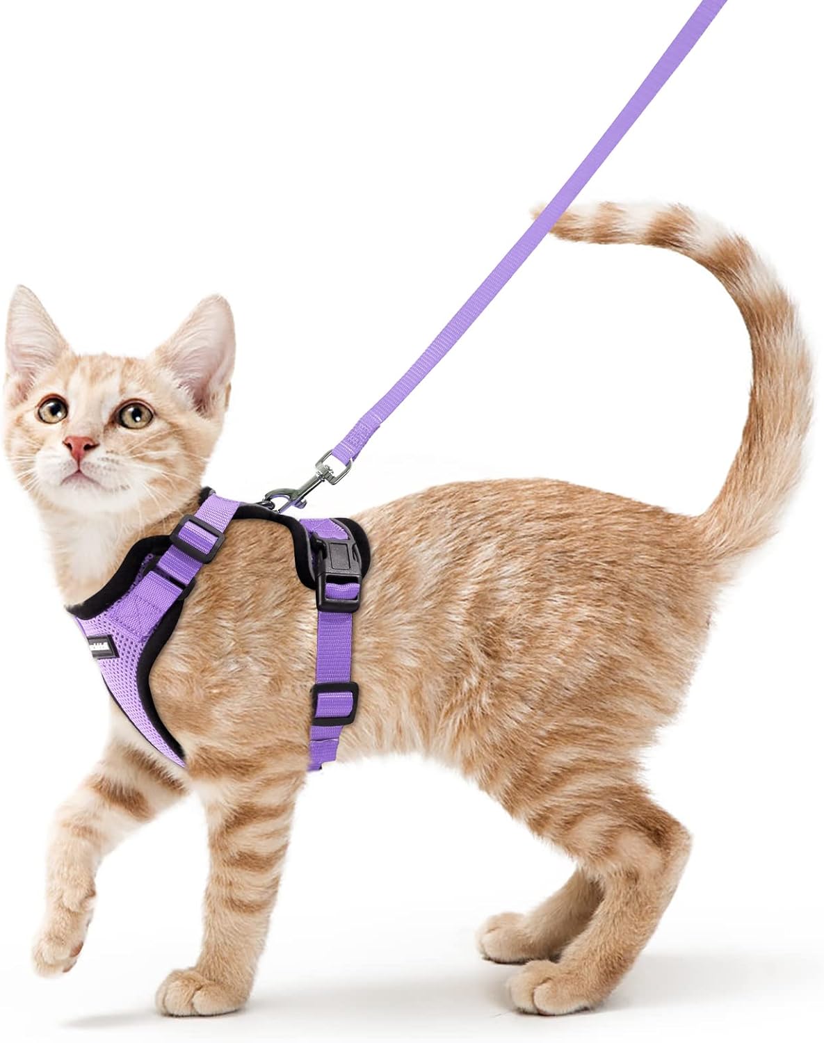 rabbitgoo Cat Harness and Leash for Walking, Escape Proof Soft Adjustable Vest Harnesses for Cats, Easy Control Breathable Reflective Strips Jacket, Black, S