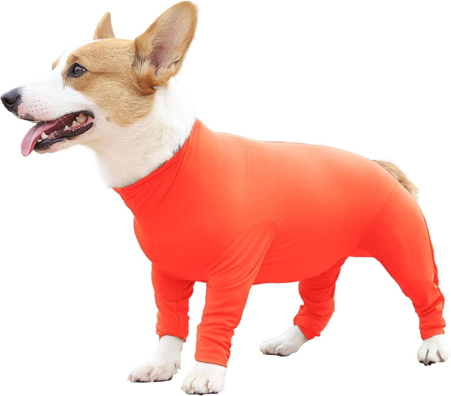 Etdane Recovery Suit for Dogs Surgery Suit Female Spay Dog Surgical Recovery Suit Male Dog Onesie for Surgery Female Anti Licking Wounds Dog Shedding Suit Grey/Small