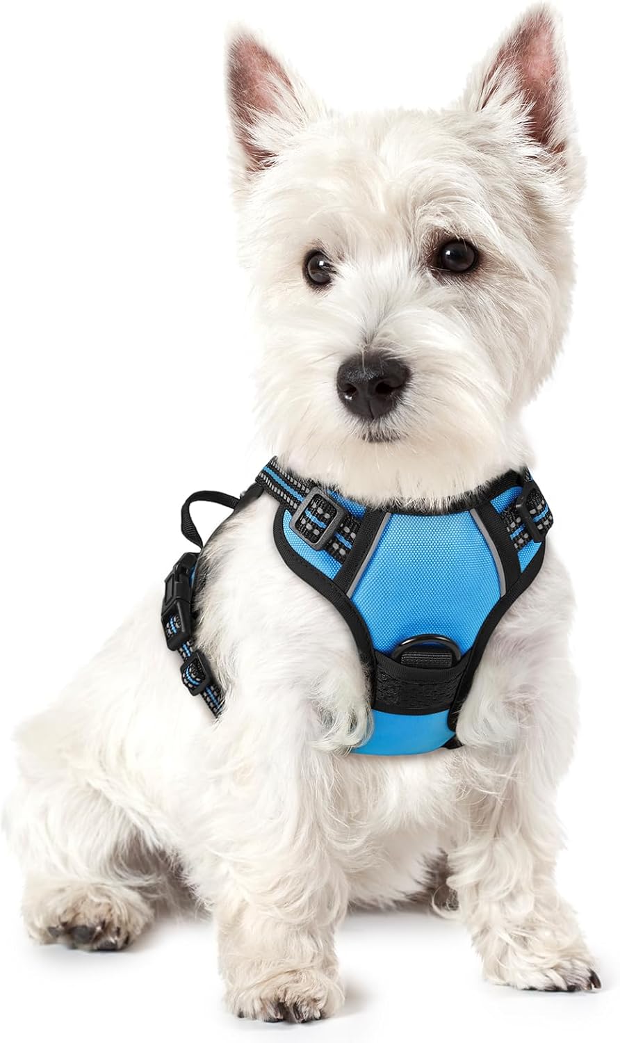 rabbitgoo Dog Harness No Pull with 2 Leash Clips, Adjustable Soft Padded, Reflective Oxford No Choke Pet Vest with Easy Control Handle for Large Dogs, Black, L