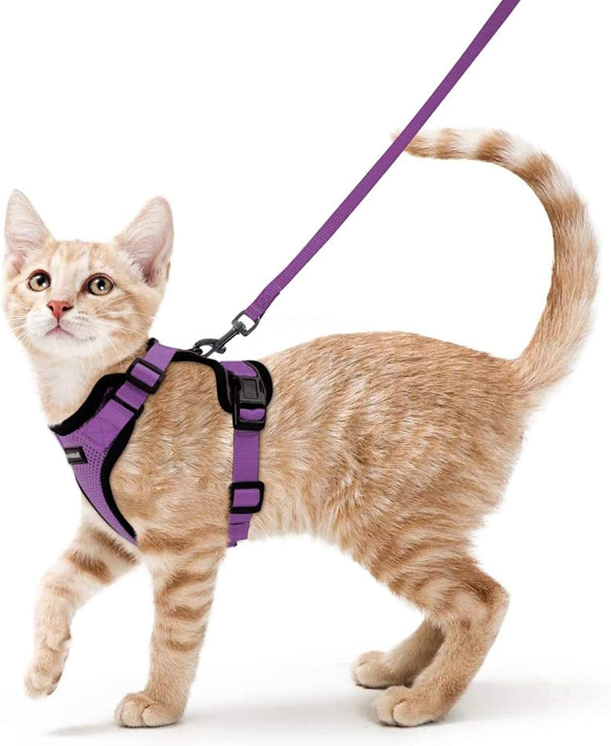 rabbitgoo Cat Harness and Leash for Walking, Escape Proof Soft Adjustable Vest Harnesses for Cats, Easy Control Breathable Reflective Strips Jacket, Black, S