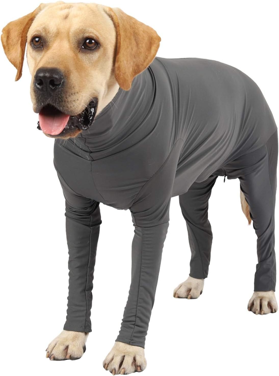 Etdane Recovery Suit for Dogs Surgery Suit Female Spay Dog Surgical Recovery Suit Male Dog Onesie for Surgery Female Anti Licking Wounds Dog Shedding Suit Grey/Small
