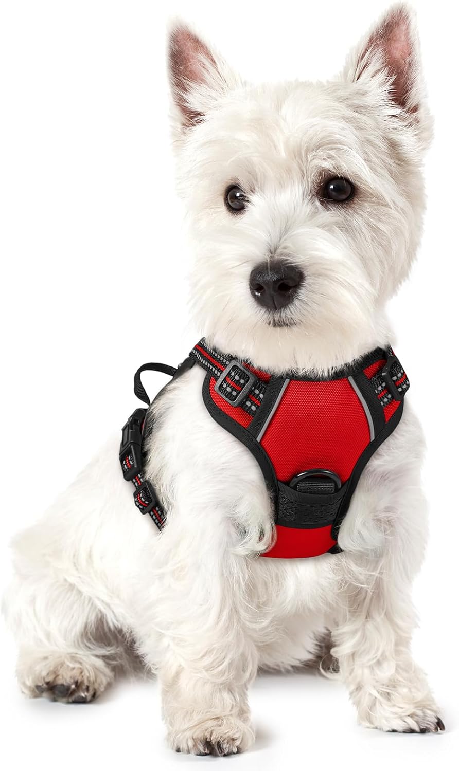 rabbitgoo Dog Harness No Pull with 2 Leash Clips, Adjustable Soft Padded, Reflective Oxford No Choke Pet Vest with Easy Control Handle for Large Dogs, Black, L
