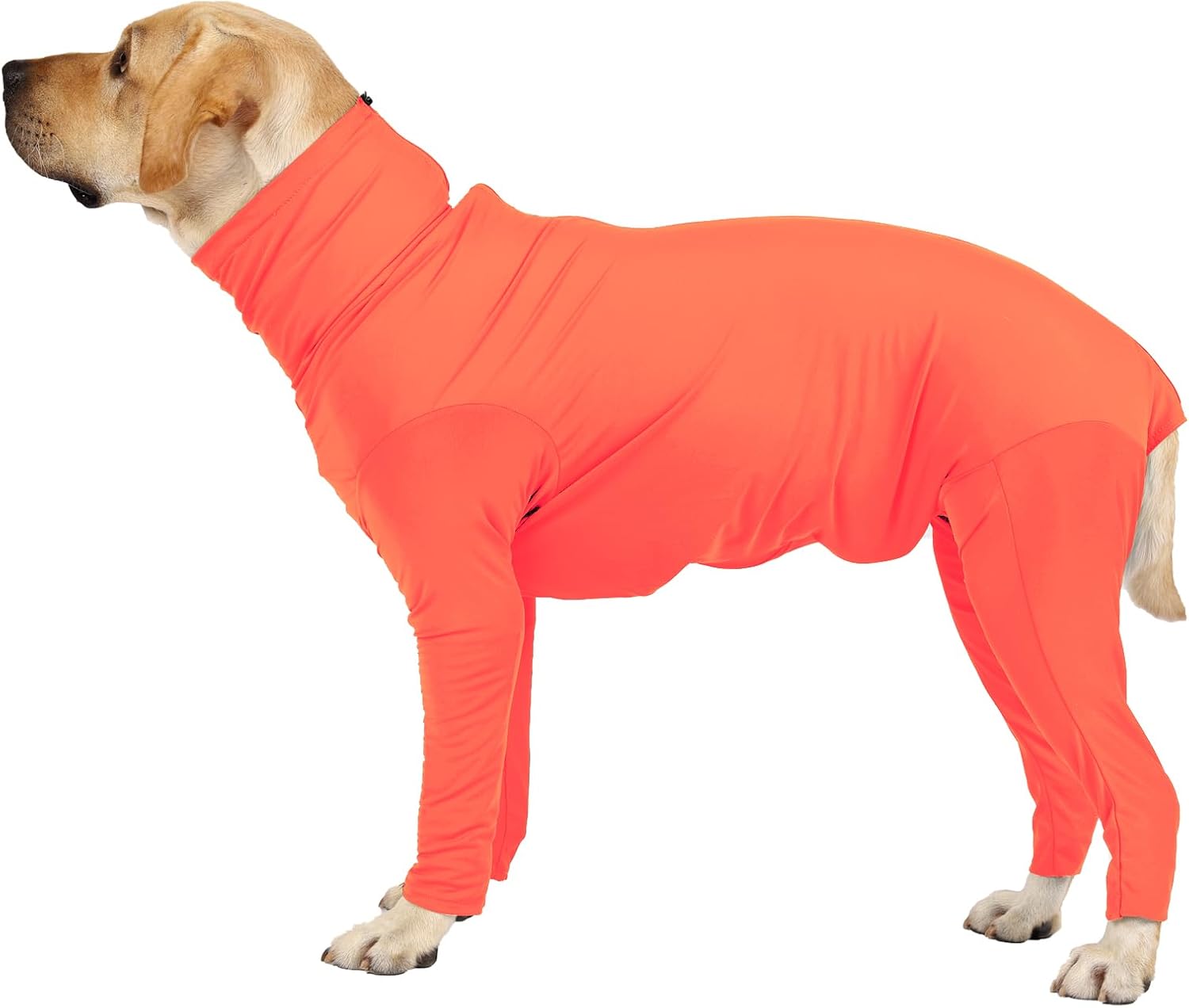 Etdane Recovery Suit for Dogs Surgery Suit Female Spay Dog Surgical Recovery Suit Male Dog Onesie for Surgery Female Anti Licking Wounds Dog Shedding Suit Grey/Small
