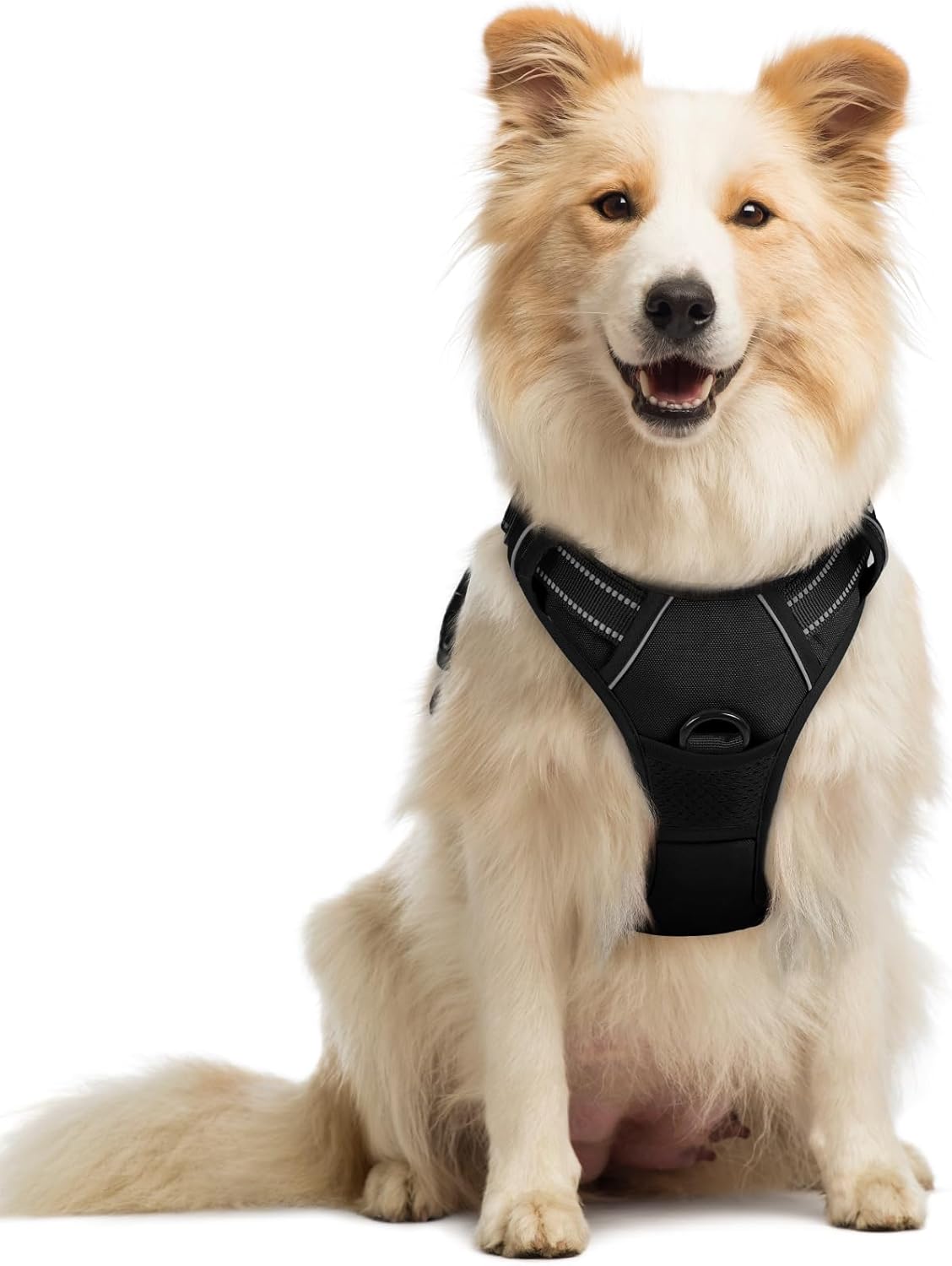 rabbitgoo Dog Harness No Pull with 2 Leash Clips, Adjustable Soft Padded, Reflective Oxford No Choke Pet Vest with Easy Control Handle for Large Dogs, Black, L