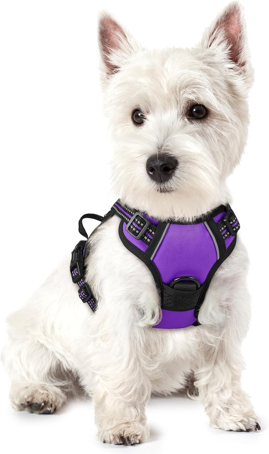rabbitgoo Dog Harness No Pull with 2 Leash Clips, Adjustable Soft Padded, Reflective Oxford No Choke Pet Vest with Easy Control Handle for Large Dogs, Black, L