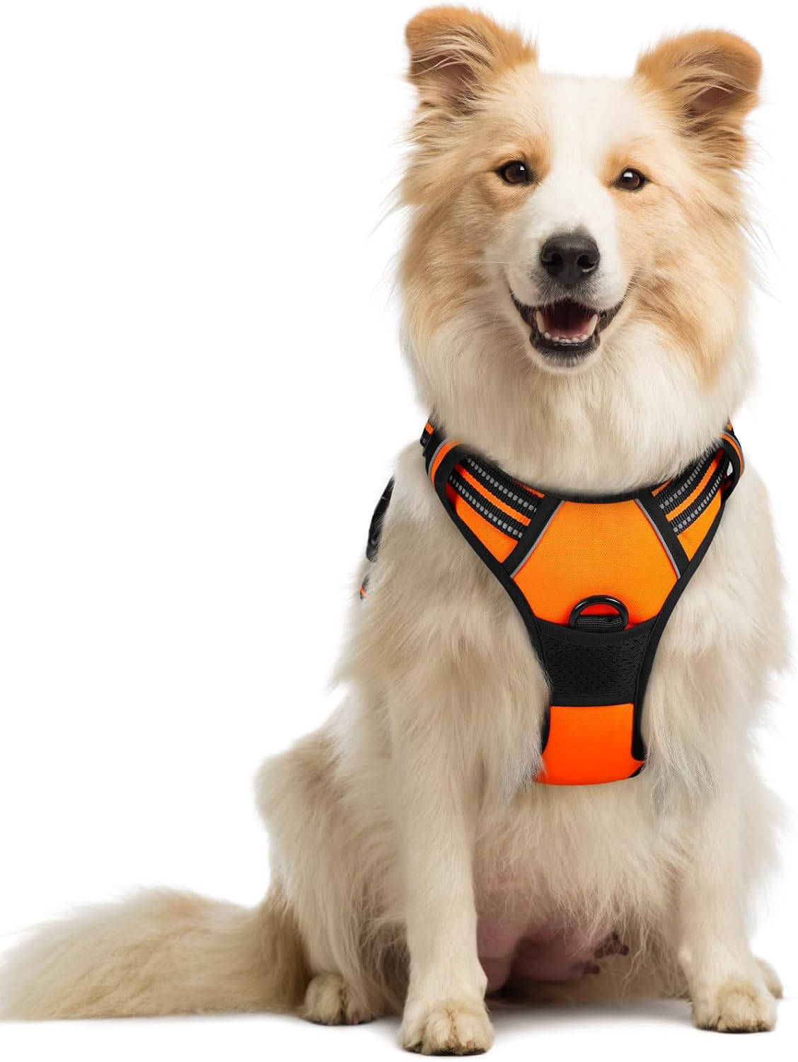 rabbitgoo Dog Harness No Pull with 2 Leash Clips, Adjustable Soft Padded, Reflective Oxford No Choke Pet Vest with Easy Control Handle for Large Dogs, Black, L