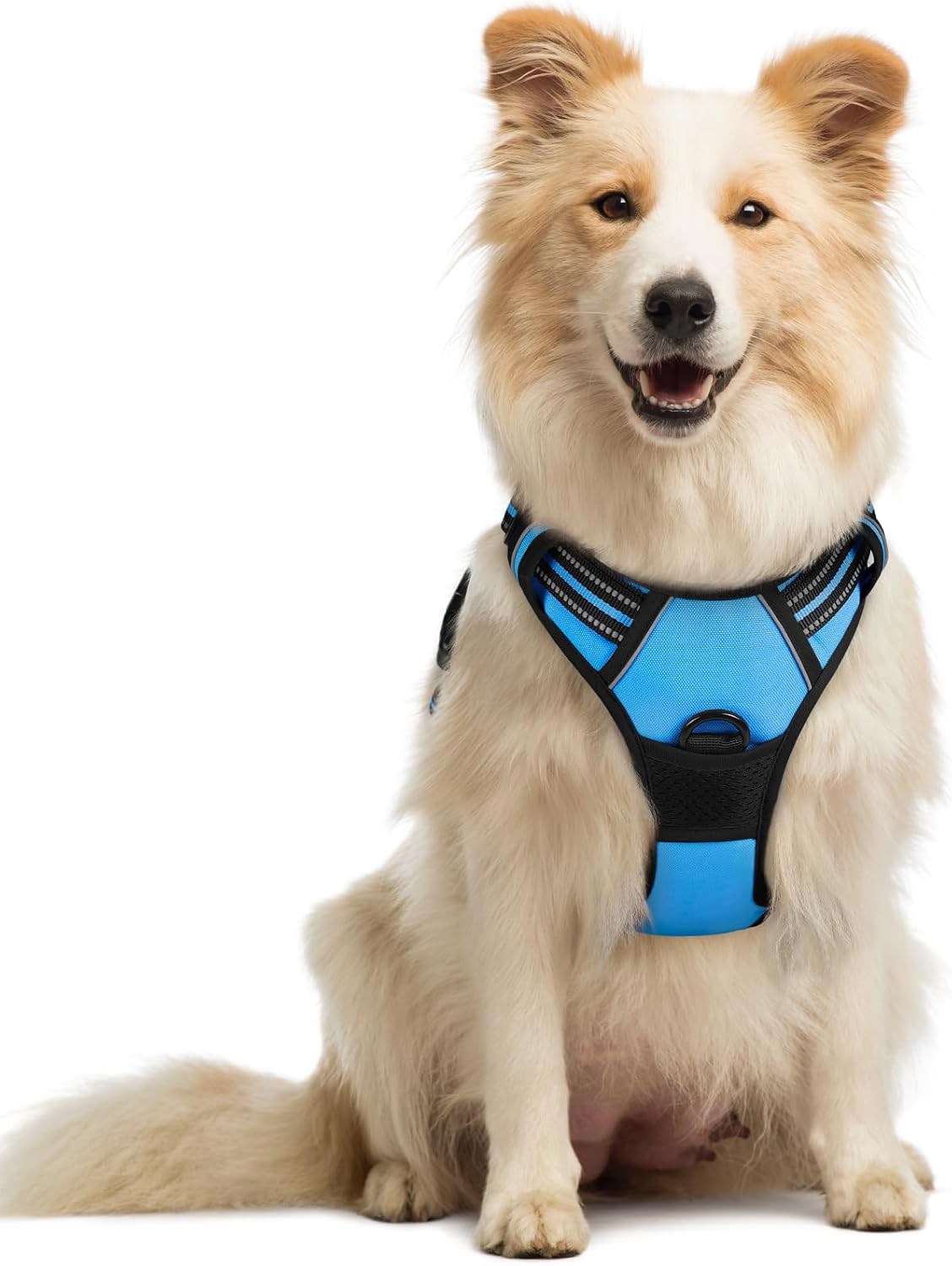 rabbitgoo Dog Harness No Pull with 2 Leash Clips, Adjustable Soft Padded, Reflective Oxford No Choke Pet Vest with Easy Control Handle for Large Dogs, Black, L