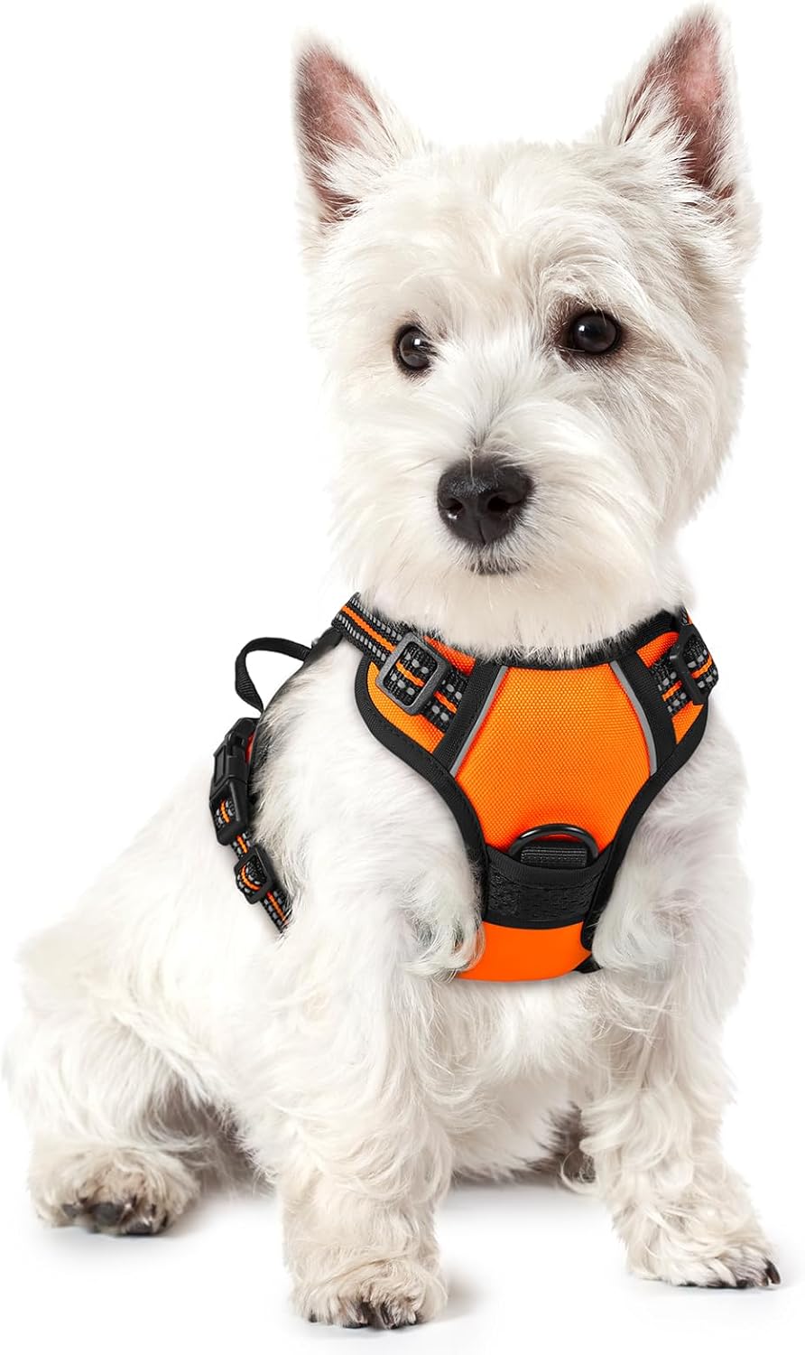 rabbitgoo Dog Harness No Pull with 2 Leash Clips, Adjustable Soft Padded, Reflective Oxford No Choke Pet Vest with Easy Control Handle for Large Dogs, Black, L