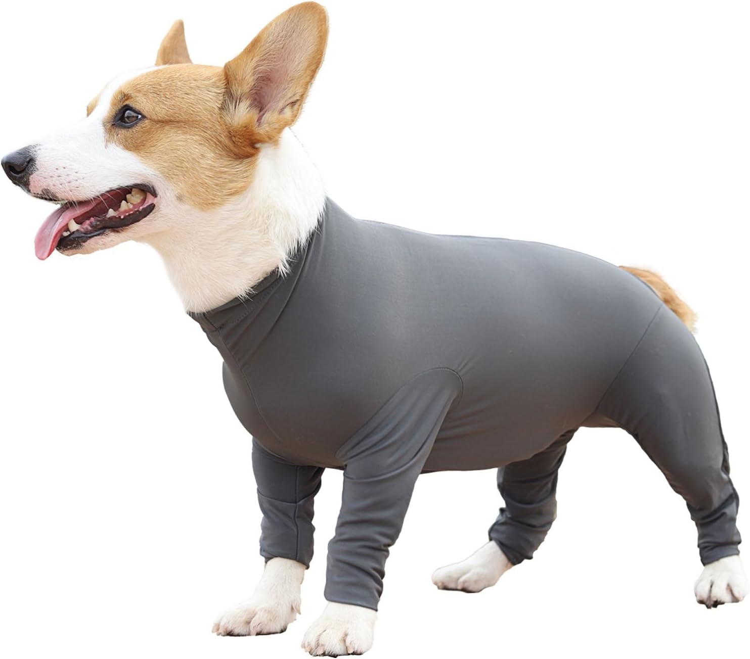 Etdane Recovery Suit for Dogs Surgery Suit Female Spay Dog Surgical Recovery Suit Male Dog Onesie for Surgery Female Anti Licking Wounds Dog Shedding Suit Grey/Small