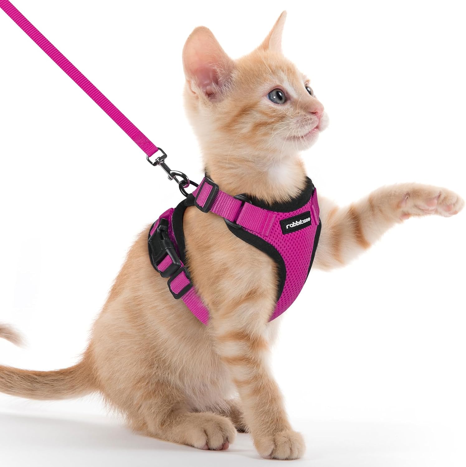 rabbitgoo Cat Harness and Leash for Walking, Escape Proof Soft Adjustable Vest Harnesses for Cats, Easy Control Breathable Reflective Strips Jacket, Black, S