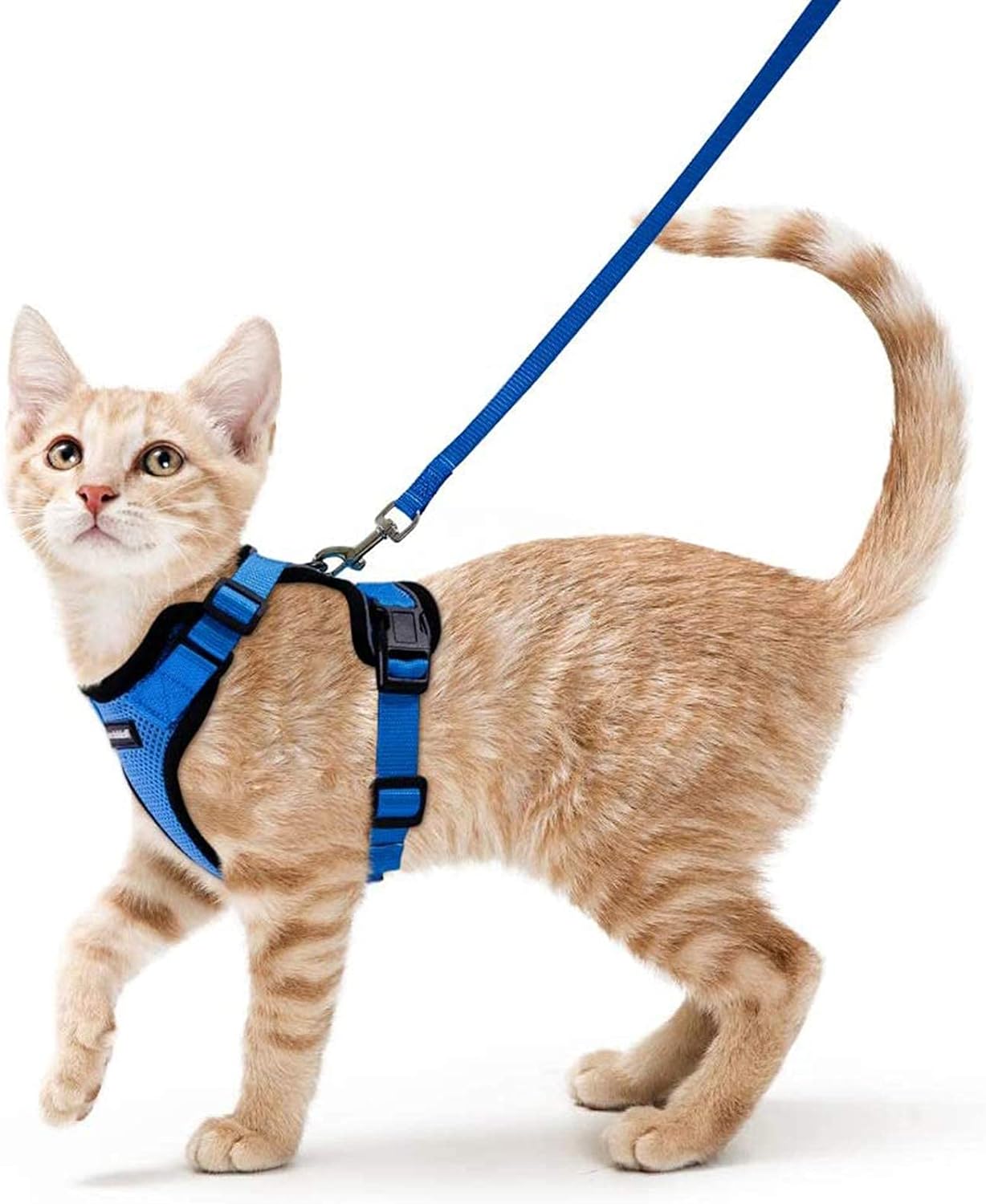 rabbitgoo Cat Harness and Leash for Walking, Escape Proof Soft Adjustable Vest Harnesses for Cats, Easy Control Breathable Reflective Strips Jacket, Black, S