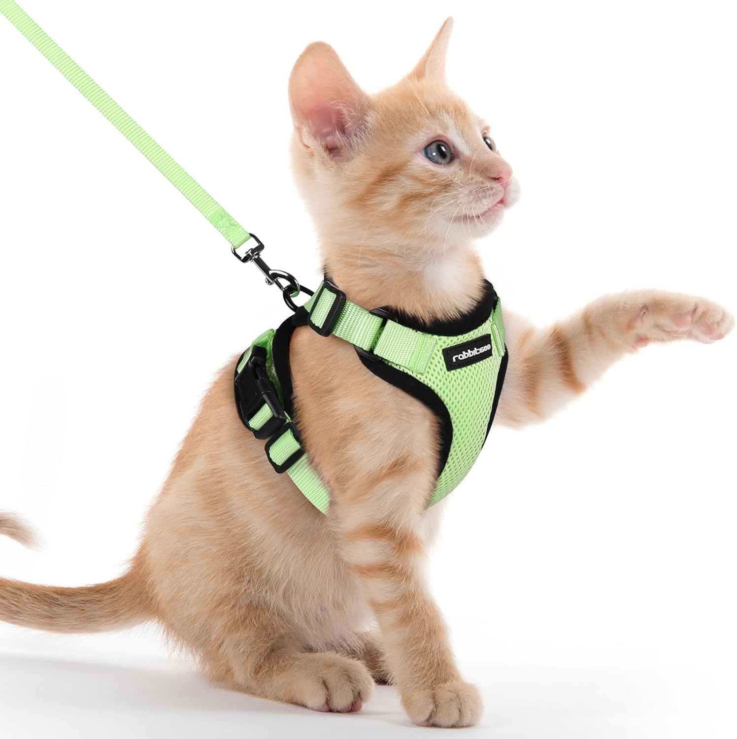 rabbitgoo Cat Harness and Leash for Walking, Escape Proof Soft Adjustable Vest Harnesses for Cats, Easy Control Breathable Reflective Strips Jacket, Black, S