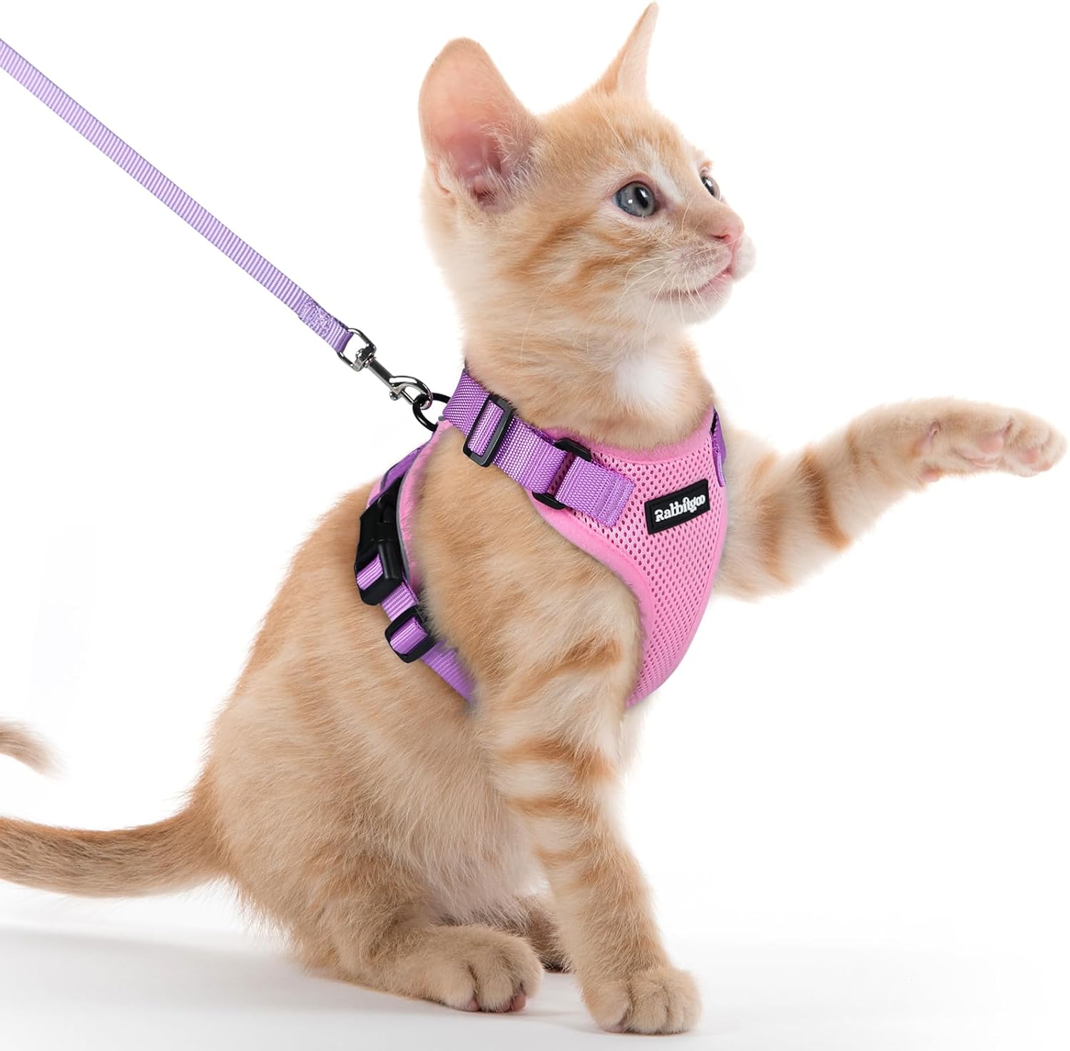 rabbitgoo Cat Harness and Leash for Walking, Escape Proof Soft Adjustable Vest Harnesses for Cats, Easy Control Breathable Reflective Strips Jacket, Black, S