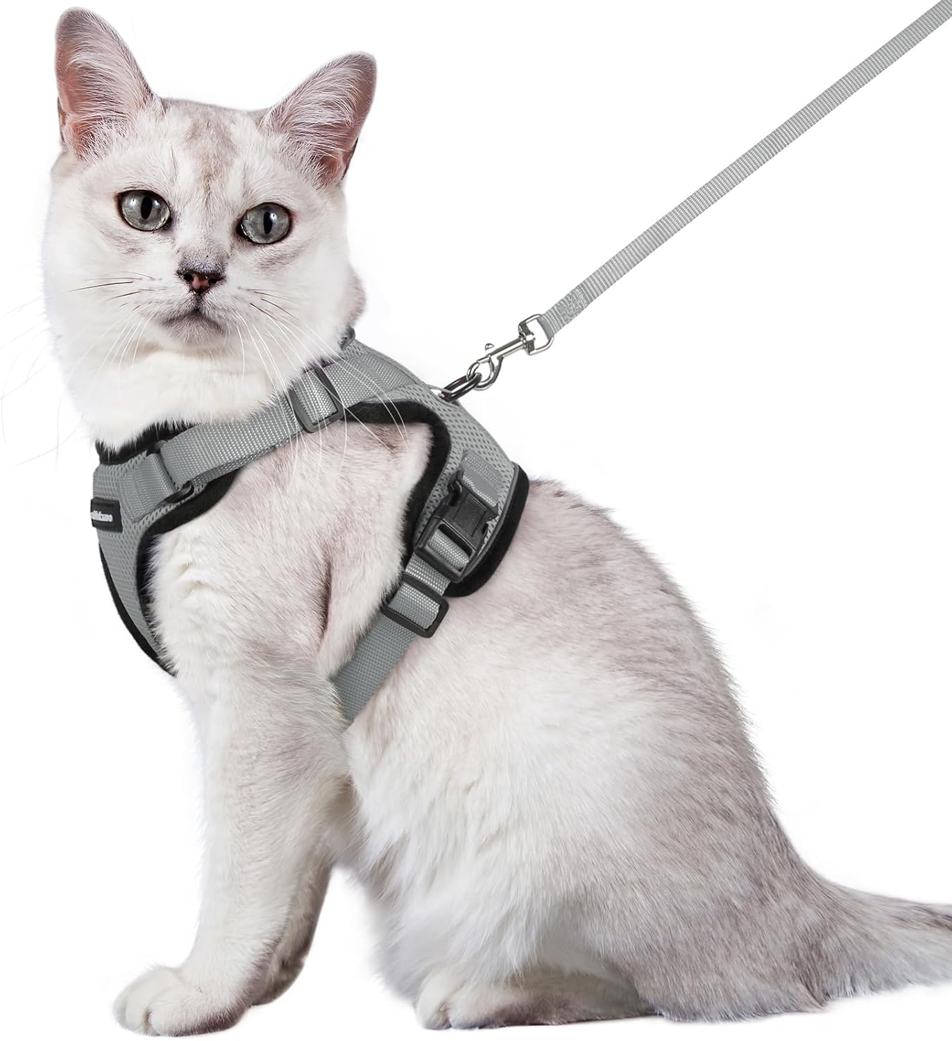 rabbitgoo Cat Harness and Leash for Walking, Escape Proof Soft Adjustable Vest Harnesses for Cats, Easy Control Breathable Reflective Strips Jacket, Black, S
