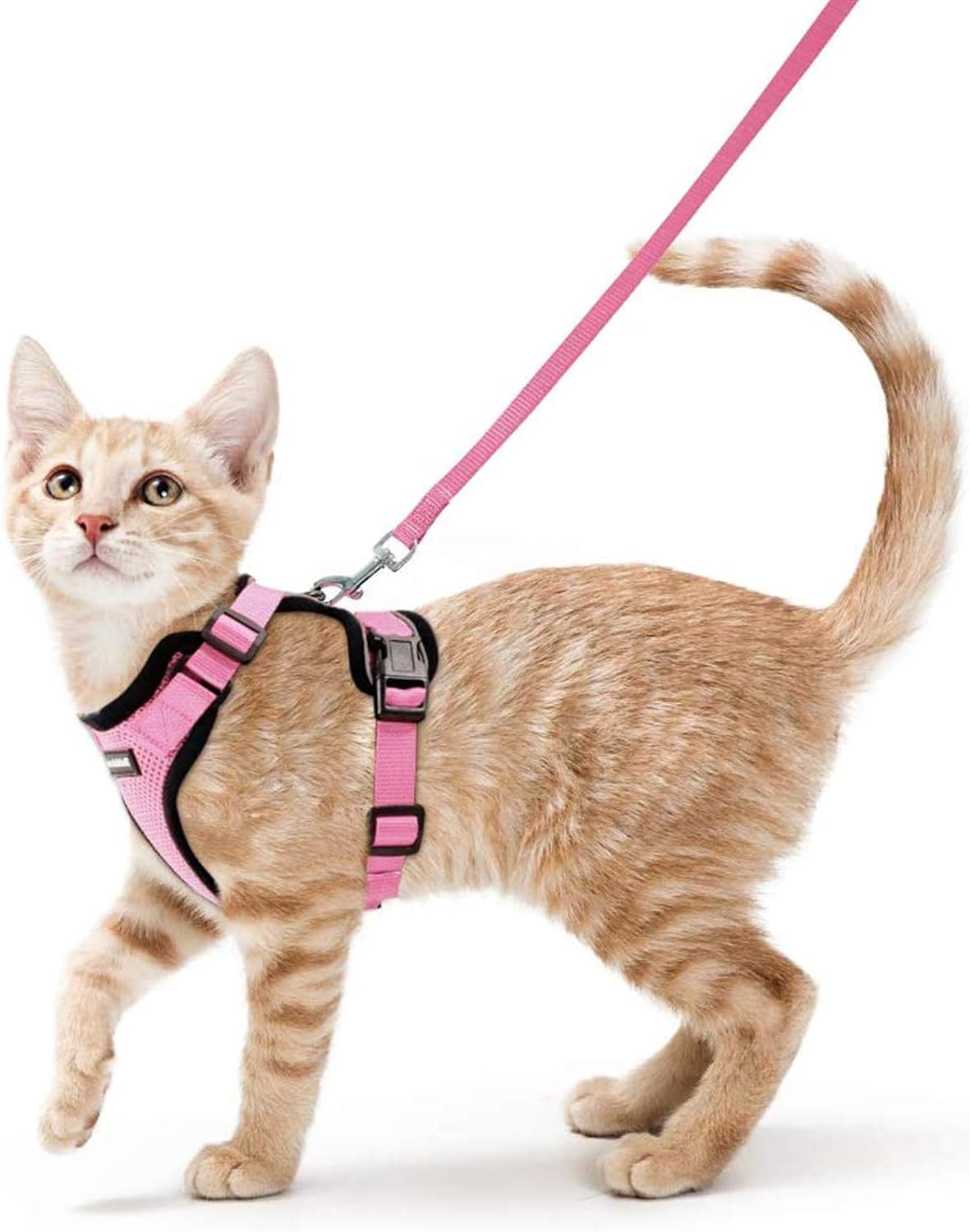rabbitgoo Cat Harness and Leash for Walking, Escape Proof Soft Adjustable Vest Harnesses for Cats, Easy Control Breathable Reflective Strips Jacket, Black, S
