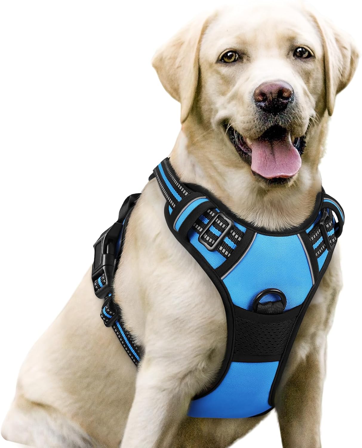 rabbitgoo Dog Harness No Pull with 2 Leash Clips, Adjustable Soft Padded, Reflective Oxford No Choke Pet Vest with Easy Control Handle for Large Dogs, Black, L