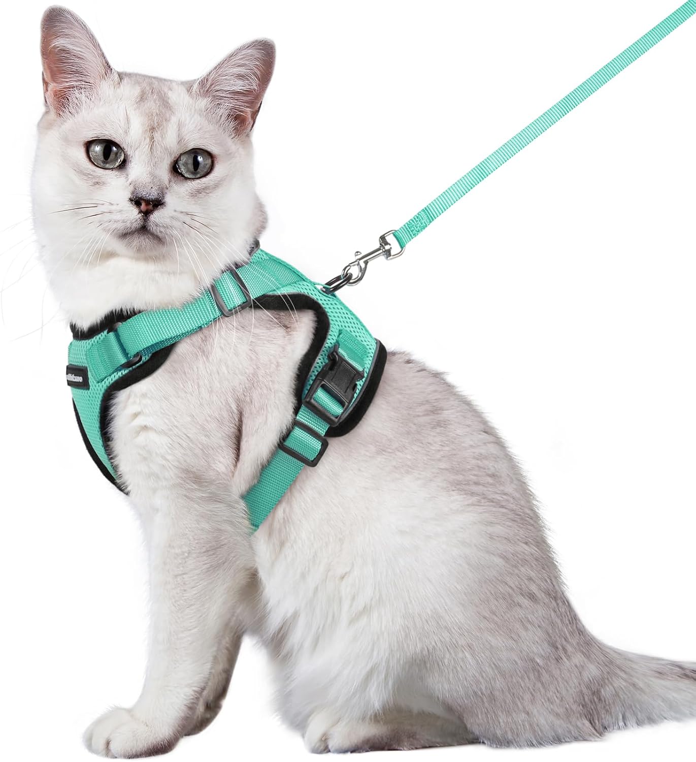 rabbitgoo Cat Harness and Leash for Walking, Escape Proof Soft Adjustable Vest Harnesses for Cats, Easy Control Breathable Reflective Strips Jacket, Black, S