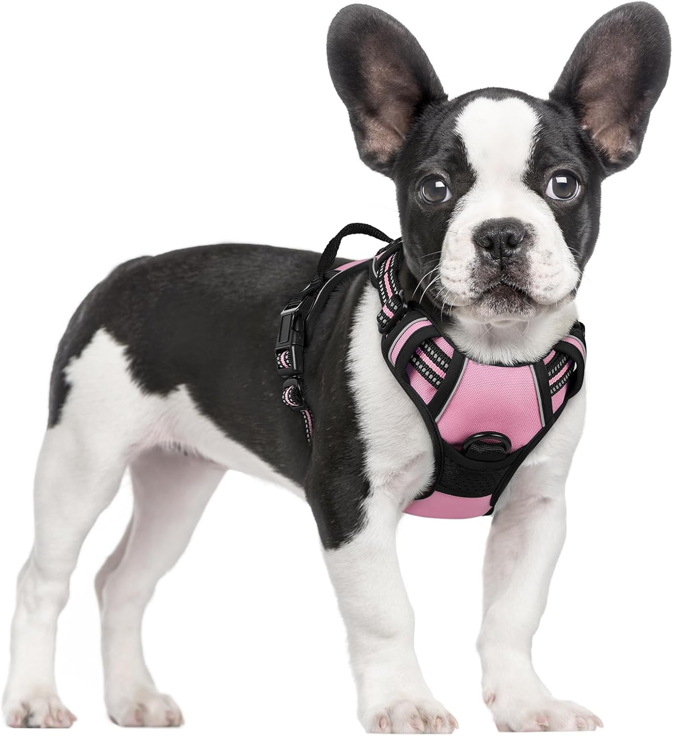 rabbitgoo Dog Harness No Pull with 2 Leash Clips, Adjustable Soft Padded, Reflective Oxford No Choke Pet Vest with Easy Control Handle for Large Dogs, Black, L