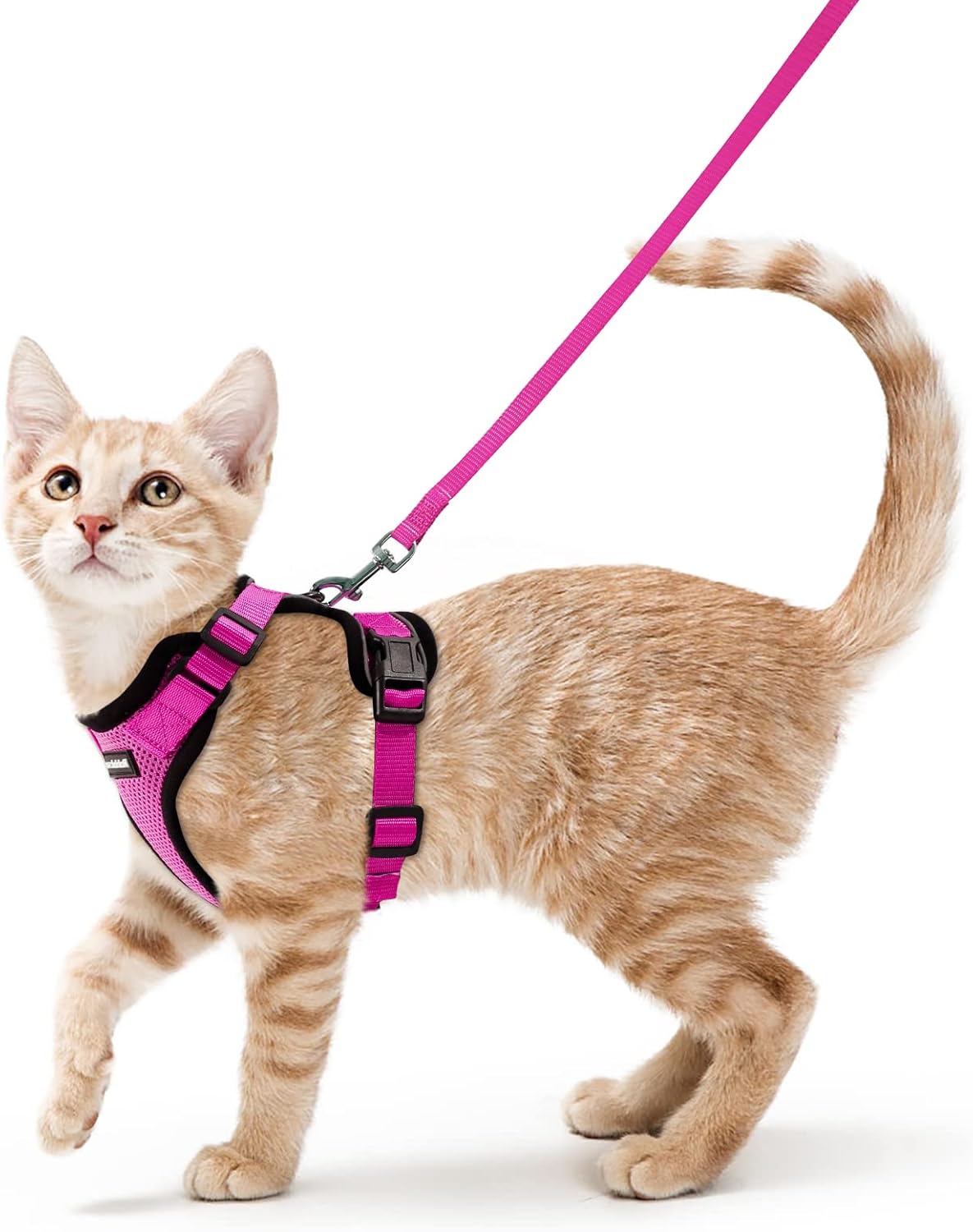 rabbitgoo Cat Harness and Leash for Walking, Escape Proof Soft Adjustable Vest Harnesses for Cats, Easy Control Breathable Reflective Strips Jacket, Black, S