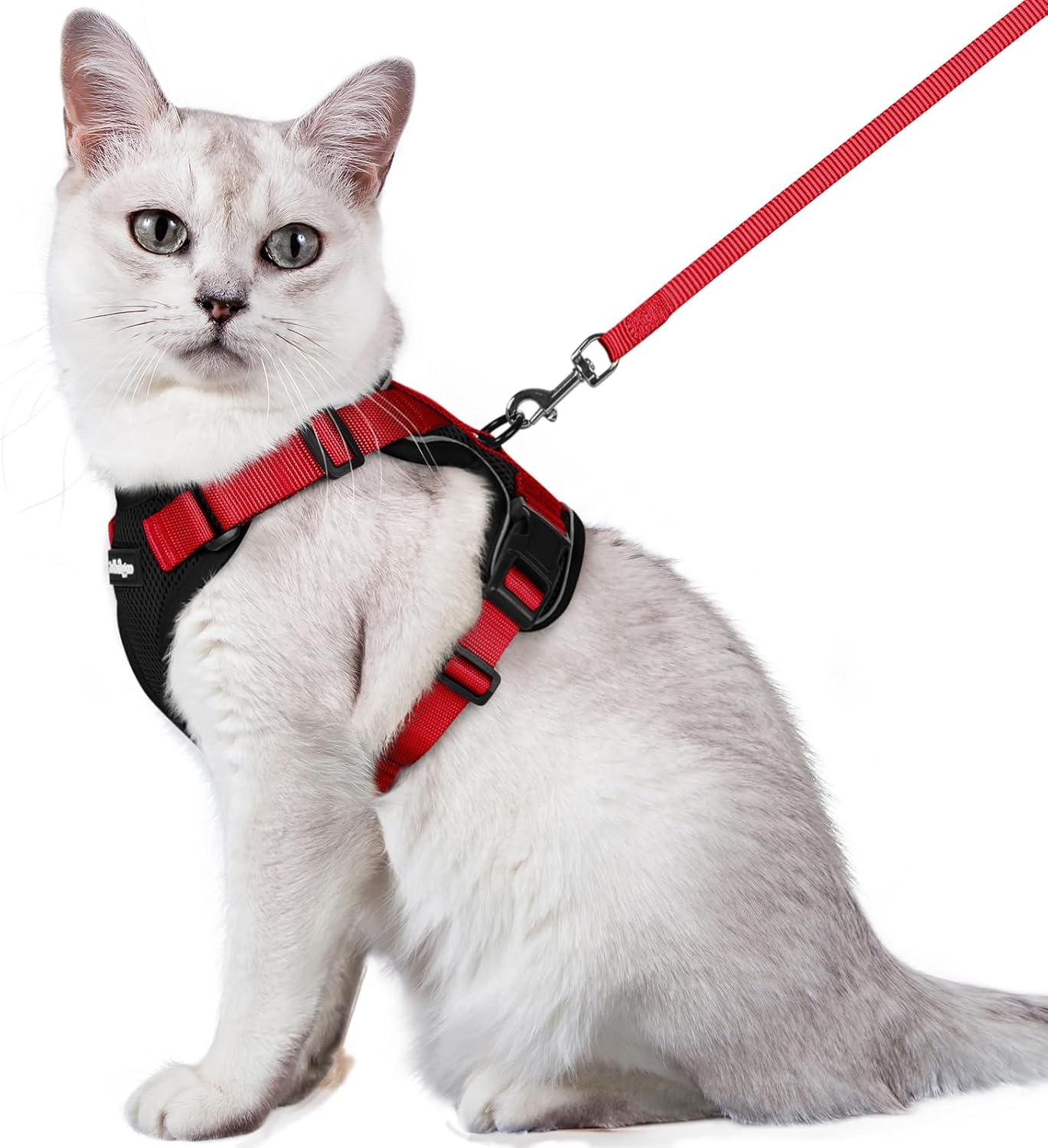 rabbitgoo Cat Harness and Leash for Walking, Escape Proof Soft Adjustable Vest Harnesses for Cats, Easy Control Breathable Reflective Strips Jacket, Black, S
