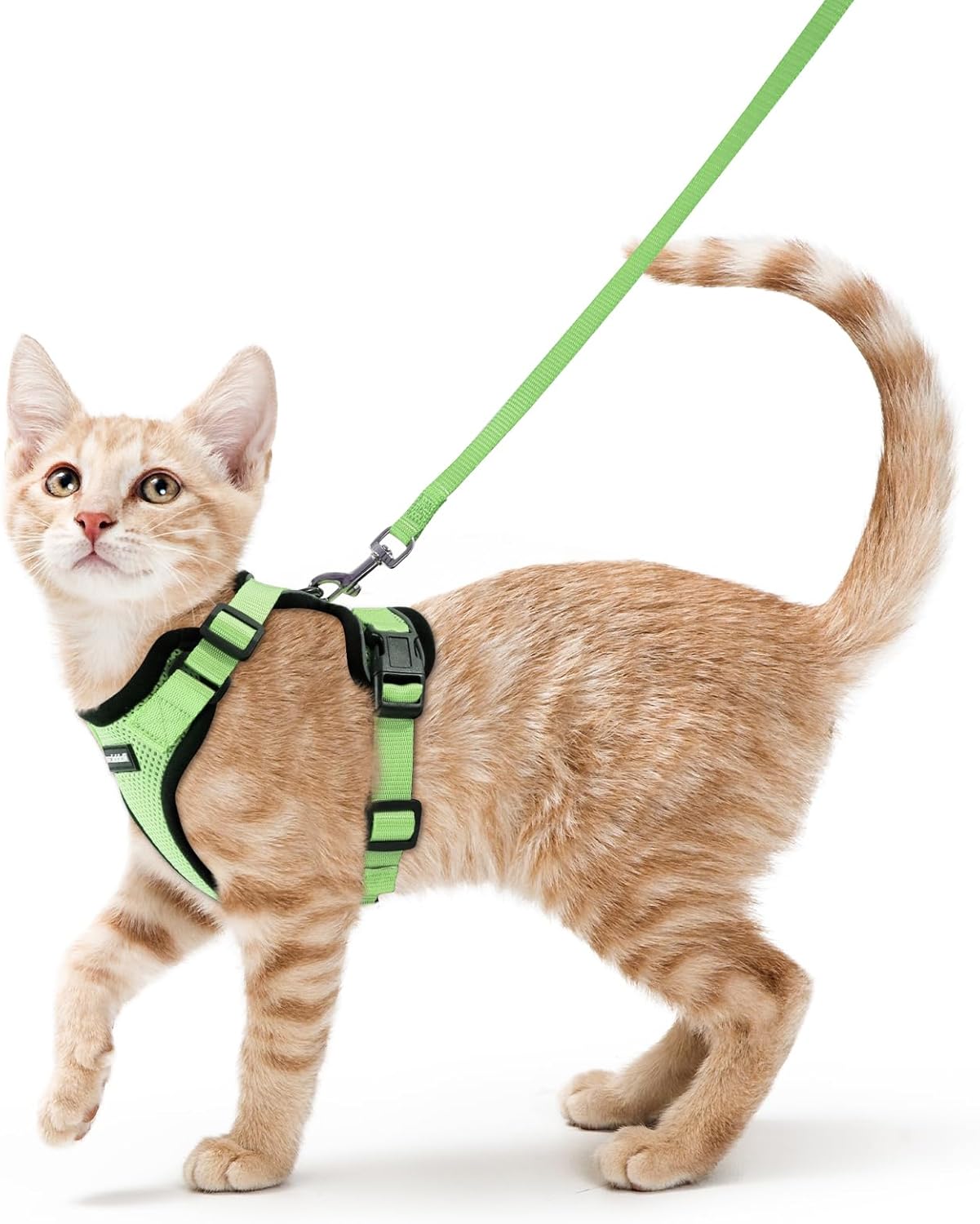 rabbitgoo Cat Harness and Leash for Walking, Escape Proof Soft Adjustable Vest Harnesses for Cats, Easy Control Breathable Reflective Strips Jacket, Black, S