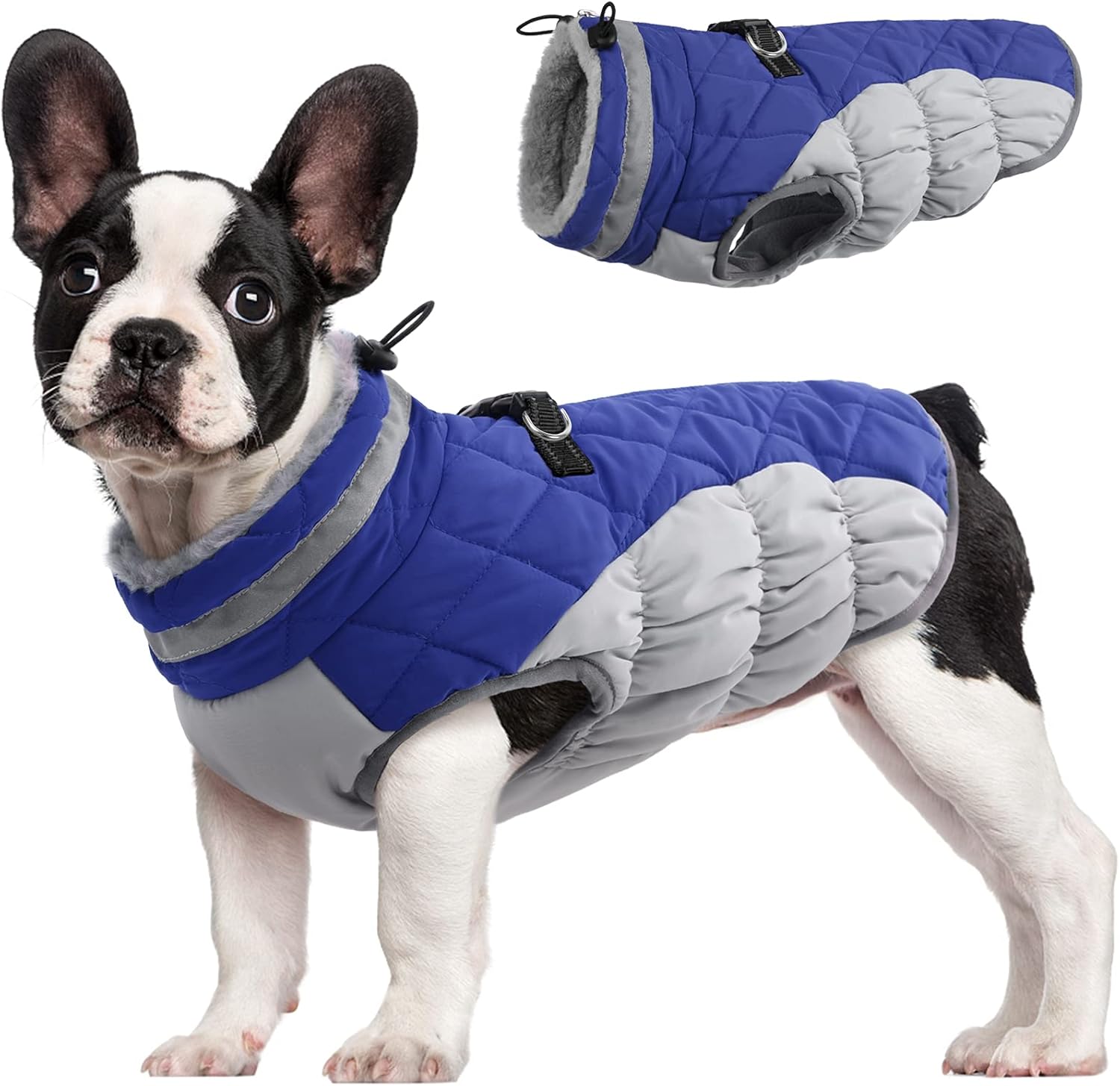 FUAMEY Dog Coat for Small Dogs,Waterproof Dog Winter Jacket with Harness Built in Puppy Cold Weather Coats Reflective Pet Vest with Zipper Warm Fleece Dogs Snowsuit Windproof Purple XS