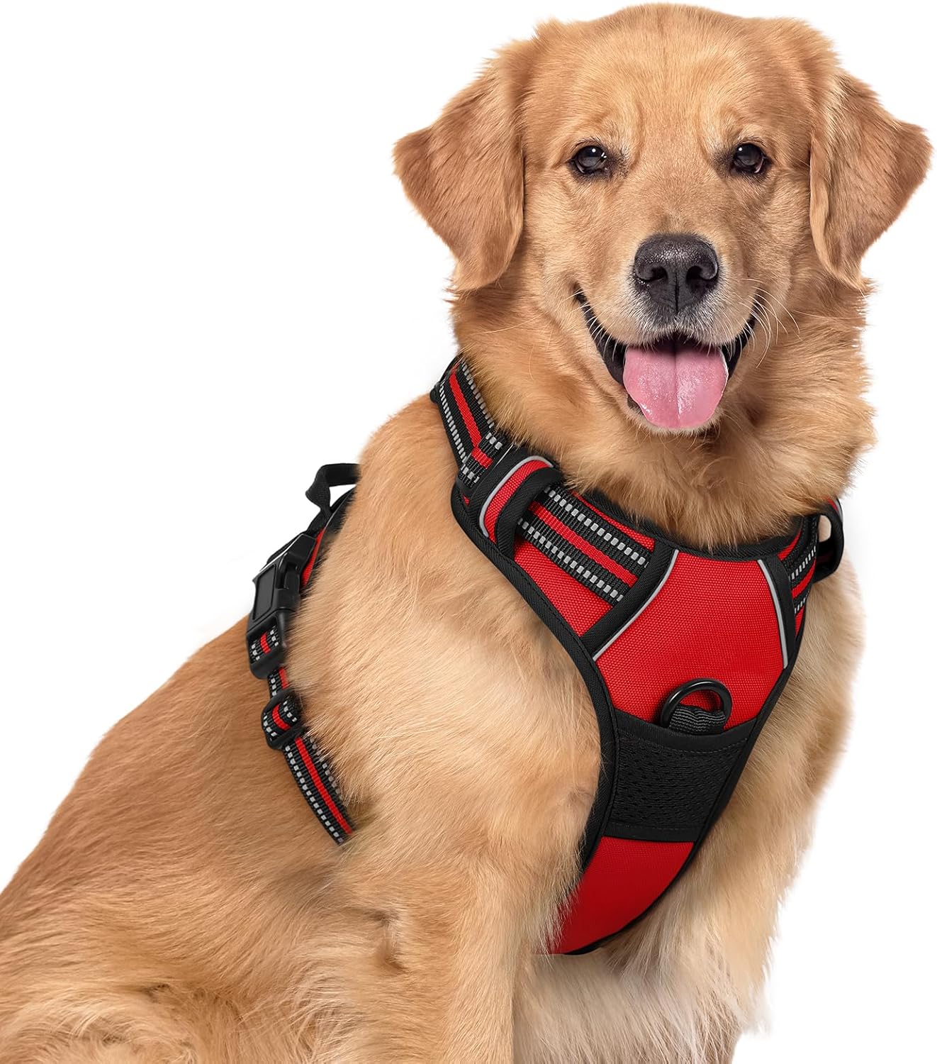 rabbitgoo Dog Harness No Pull with 2 Leash Clips, Adjustable Soft Padded, Reflective Oxford No Choke Pet Vest with Easy Control Handle for Large Dogs, Black, L
