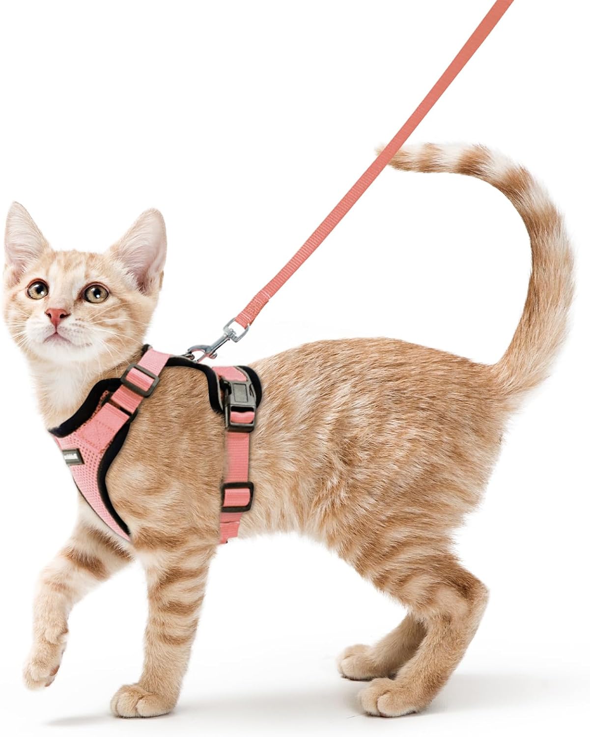 rabbitgoo Cat Harness and Leash for Walking, Escape Proof Soft Adjustable Vest Harnesses for Cats, Easy Control Breathable Reflective Strips Jacket, Black, S