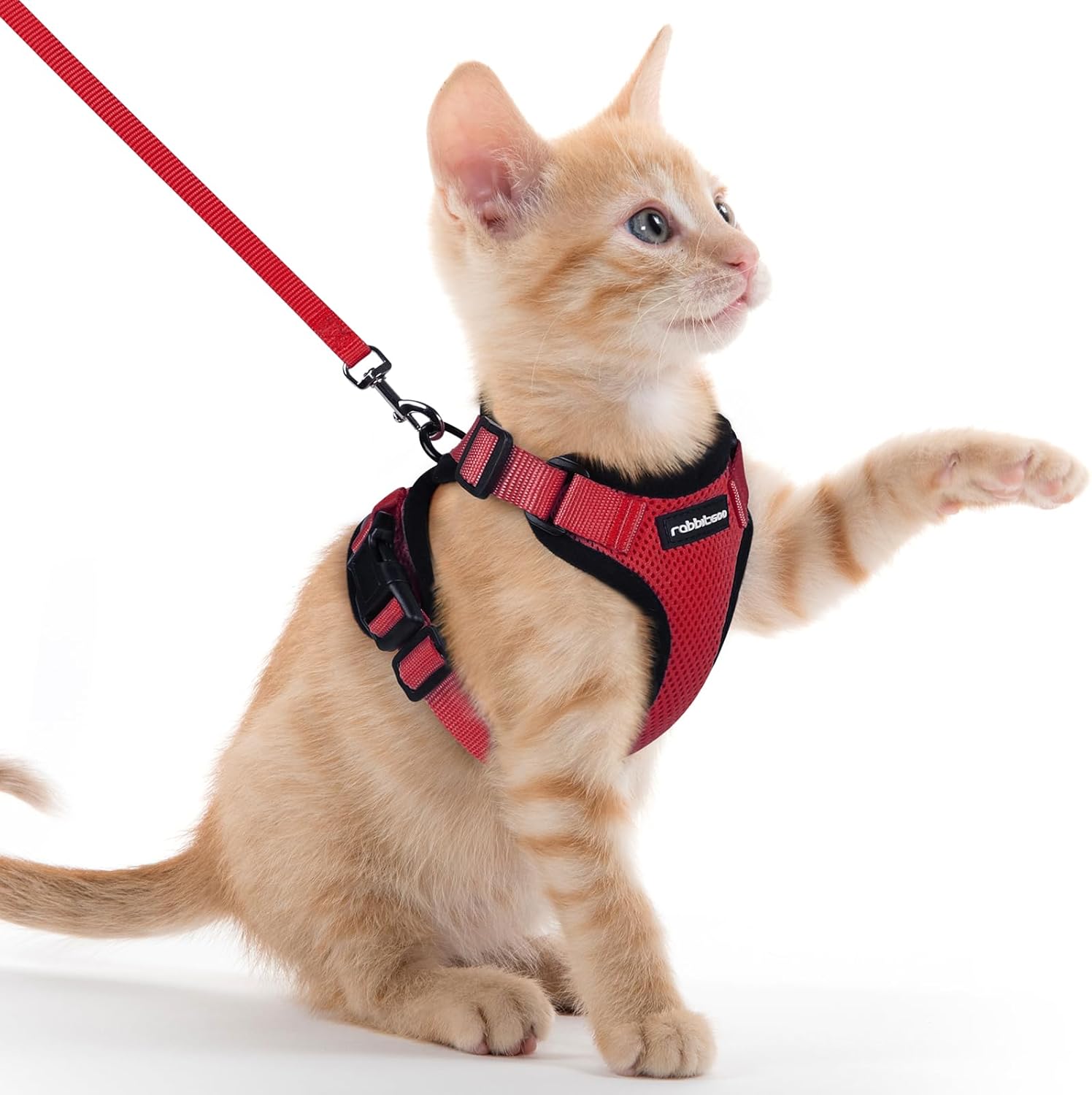 rabbitgoo Cat Harness and Leash for Walking, Escape Proof Soft Adjustable Vest Harnesses for Cats, Easy Control Breathable Reflective Strips Jacket, Black, S