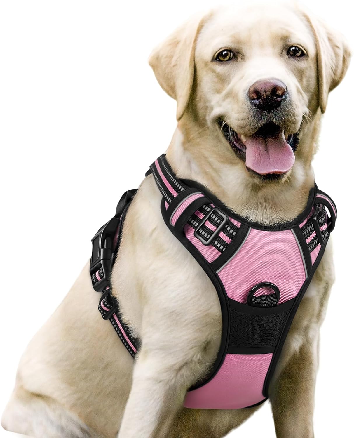 rabbitgoo Dog Harness No Pull with 2 Leash Clips, Adjustable Soft Padded, Reflective Oxford No Choke Pet Vest with Easy Control Handle for Large Dogs, Black, L