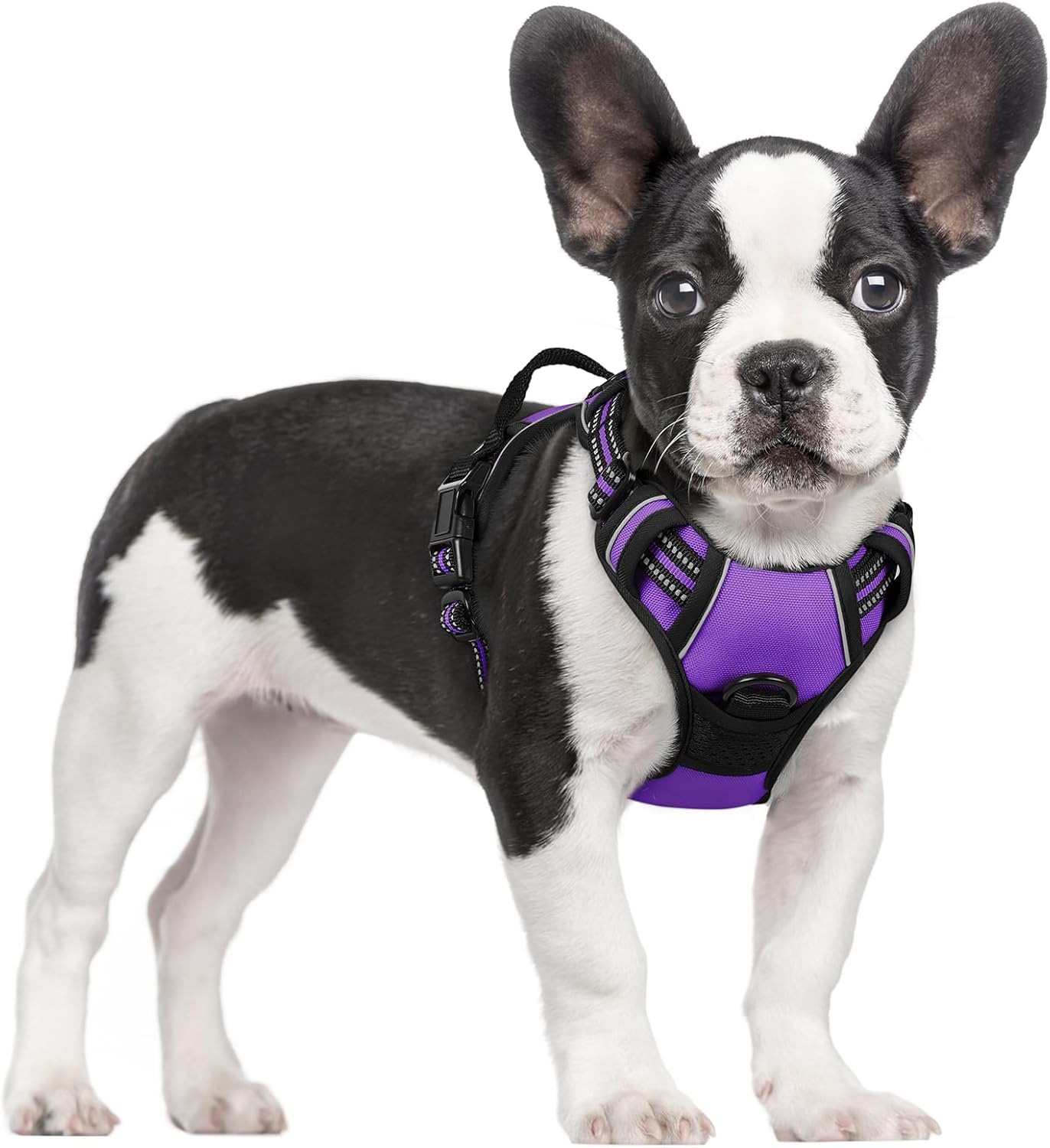 rabbitgoo Dog Harness No Pull with 2 Leash Clips, Adjustable Soft Padded, Reflective Oxford No Choke Pet Vest with Easy Control Handle for Large Dogs, Black, L