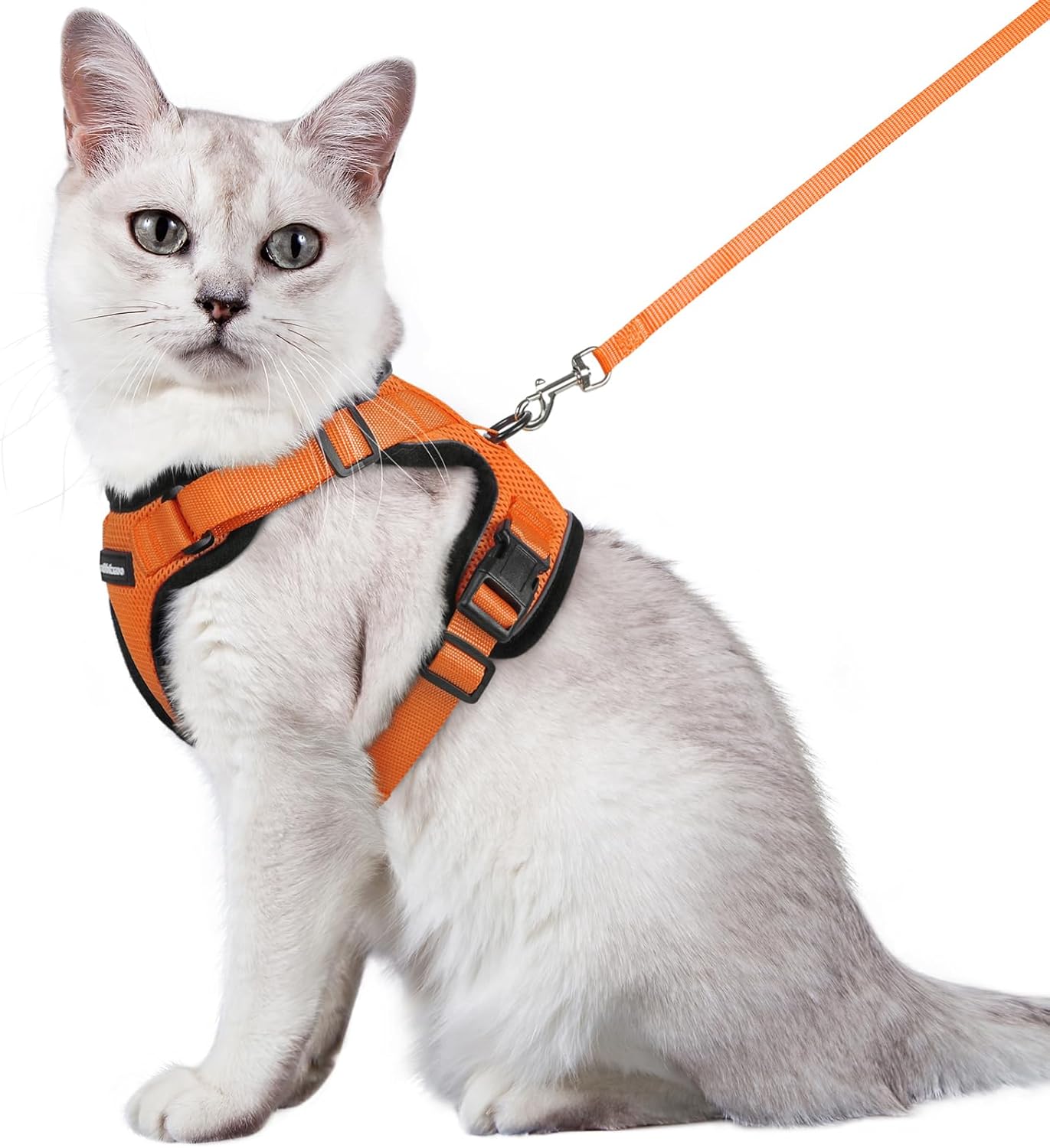 rabbitgoo Cat Harness and Leash for Walking, Escape Proof Soft Adjustable Vest Harnesses for Cats, Easy Control Breathable Reflective Strips Jacket, Black, S